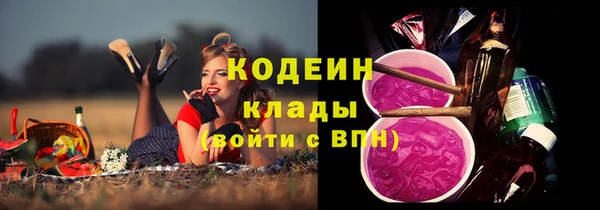 соль ск Новодвинск
