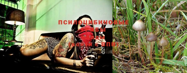 мдма Няндома