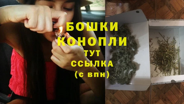 мяу мяу мука Новозыбков