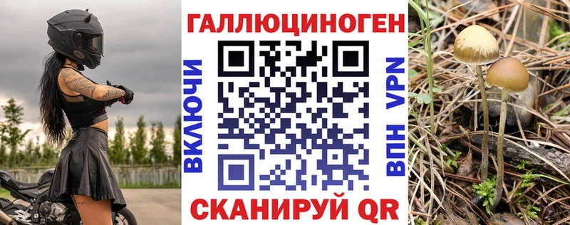 мега зеркало  как найти наркотики  Истра  Псилоцибиновые грибы Magic Shrooms 
